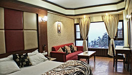 Hotel Vishnu Palace-Superior Himalayan View